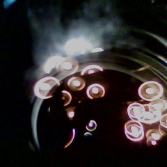 not just a theory    (spokenword)