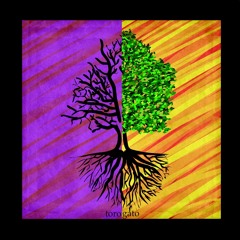 Pato Gajardo - Seguir Adelante