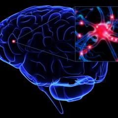 Tenpul Essent - Surfing Nuerons (144)