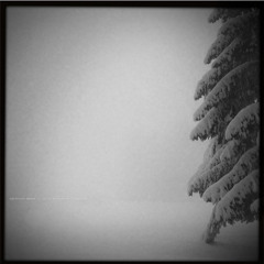 as if nothing had happened