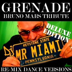 DJ MR MIAMI - Grenade (Bruno Mars Tribute)