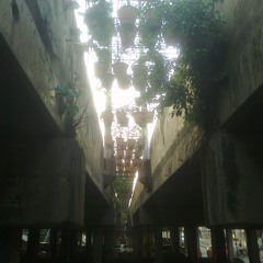 d_every single day-จากอีสานถึงบางกอก