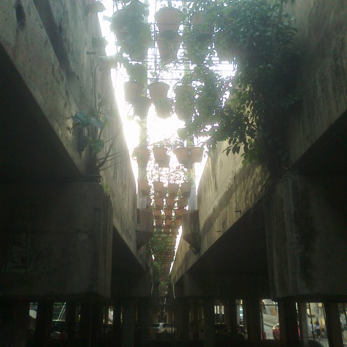 d_every single day-จากอีสานถึงบางกอก