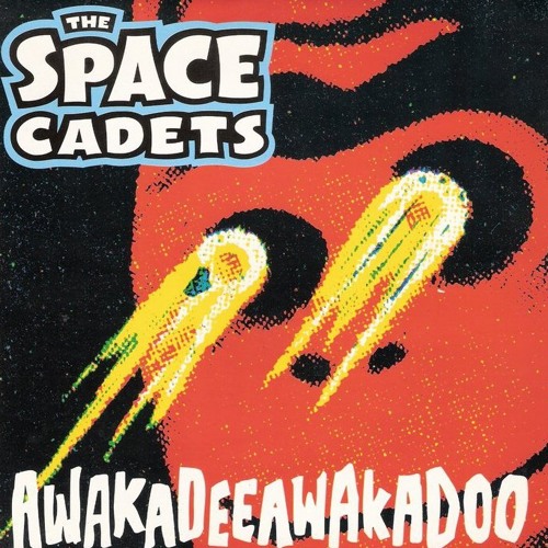 'Awakadeeawakadoo' by The Space Cadets