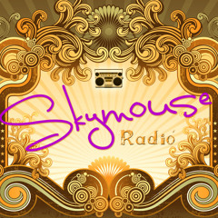 Skymouse - DJ - 90s DJ Club Session - Dance Education Radio Show 1 - MarlowFm.co.uk