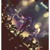 Artwork for Archers of Loaf, Troubadour LA 2011