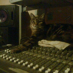 Drifter Words Riddim