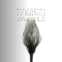 Vale Que tengas - Ely Guerra letra