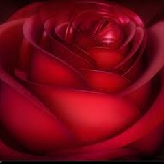 ကားမွတ္တုိင္......အေ၀းကဧည္႕ခန္း