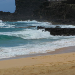 2011 Original-Out of the Dark