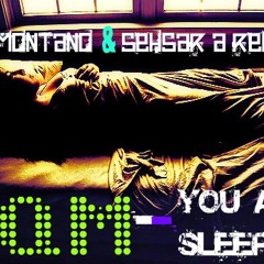 You Are Sleeping (R. Montano & Sehsar A Remix)- PQM