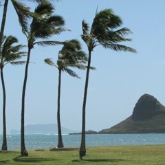 2011 Original-Never Give Up