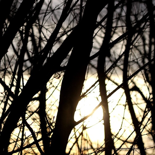 Pascal Vert - Was zaehlt *free download*