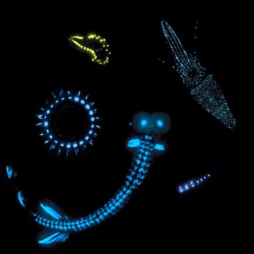 Funk Ethics & Lucid Directions - Down Get Future