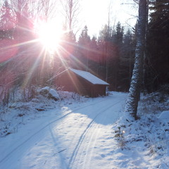 Winter Hymn (mix and orchestral arr. Mats Rendel)