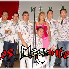 Los Elegantes - Volveras A Mis Brazos (Primicia 2012)
