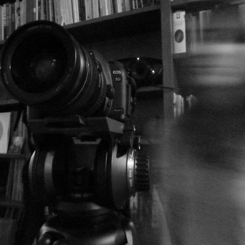 24 frames per second
