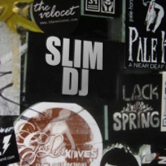 Bass Weazal VS Front 242 (SlimDJ Mashup)