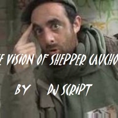 the vision of shepper cauchoix by dj script