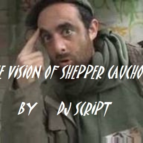 the vision of shepper cauchoix by dj script