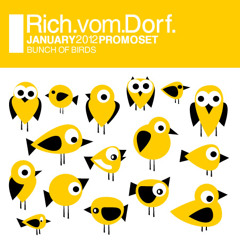 Rich Vom Dorf - promoset 0112 bunch of birds
