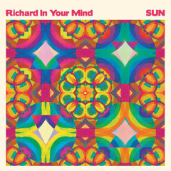 Richard In Your Mind - She Took The Sun Away