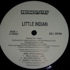 One Little Indian (Buckwild Instrumental) | Little Indian