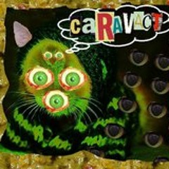 December Was For Bears