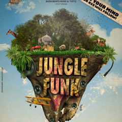 Groove comes in many Colors - Warming Up set mixed by DJ BushBeats