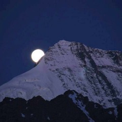 Sheikh Mishary bin Rashid Al Afasy surah yusuf 54-76