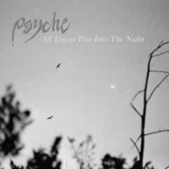 Psyche - Goodbye Horses (Radio Edit)