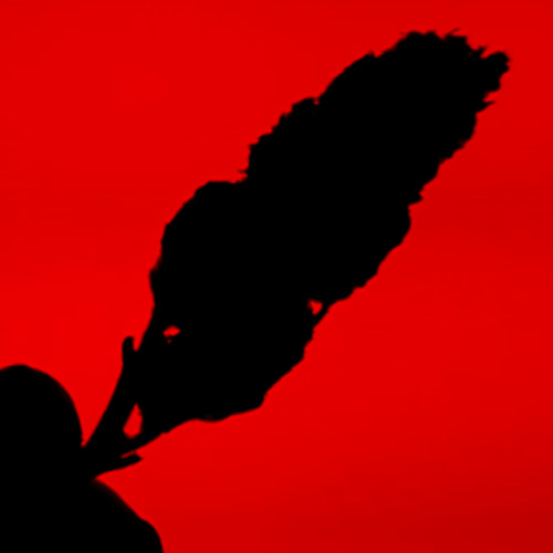 Figub Brazlevič feat. Teknical Development - Words