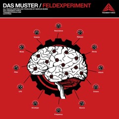 Das Muster - Feldexperiment (TF45)