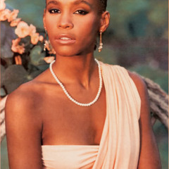 Ssc#44 (microflip): Whitney Houston "where are you?"