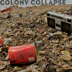 02 Colony Collapse (Beats Antique remix)