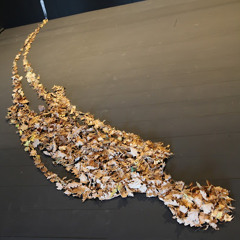 Demo001 - Aint no stand off