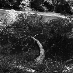 ViXiT-GRAVEDAD (Demo)