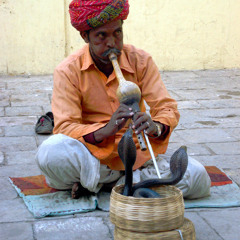 Pungi Player Varanasi (Rec India)