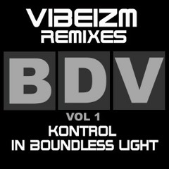 Warner Powers & Michael Paterson ft Andrea Britton - Kontrol (Vibeizm Remix)