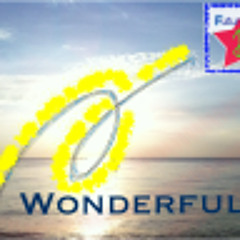 Wonderful - Future Plan (F.P.)