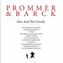 Prommer & Barck - Sleeping Beauty - Broken Reform Rmx