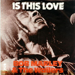 M.E.S.P. Remix - Is this love - Bob Marley "DEMO"