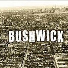 10 THE COME UP...BUSHWICK'S NEW POSTER CHILD