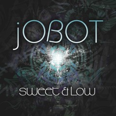jOBOT - 04 Noodoo