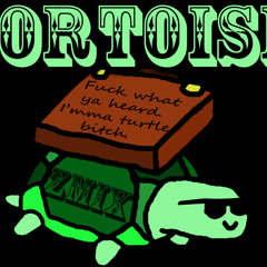 Tortoise [Drumstep]