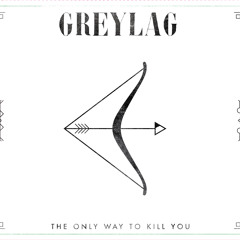 Greylag - Black Crow