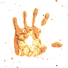 Fingertips