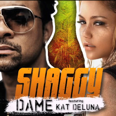 Shaggy Feat. Kat Deluna - Dame  (Magic Deejays Personal Bootleg)