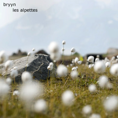 Who's Got it Figured Out