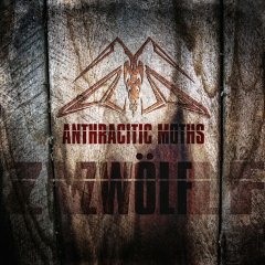 Anthracitic Moths - Shagom Marsh (Sleetgrout Mix)